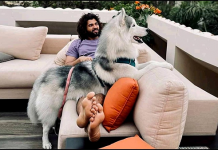 விஜய் தேவரகொண்டா மடியில் உட்கார்ந்திருக்கும் கம்பீரமான நாய்: வைரல் புகைப்படம்!