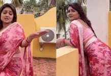 இணையத்தை அசத்தும் ரோஜா சீரியல் நாயகியின் நடன வீடியோ !