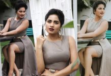 கன்னக்குழி அழகி ஸ்ருஷ்டி டாங்கேவின் கவர்ச்சி புகைப்படம் !!