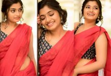 உன் எலுமிச்சை நிற இடுப்புல வழுக்கி விழுந்துட்டோம் – ராஜா ராணி நடிகை அர்ச்சனாவின் சூடான புகைப்படங்கள் !!