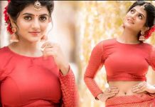 “ரெக்க மட்டும் இருந்தா, தேவதை டா..” தாவணியில் புகைப்படங்களை வெளியிட்டு இளசுகளை கவரும் கேப்ரில்லா!!