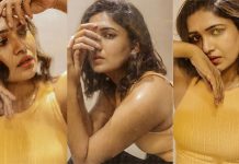 சிலை போல சிக்கென போஸ் கொடுத்த வாணி போஜனின் அசத்தல் க்ளிக்ஸ்!!