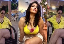 பிதுங்கும் முன்னழகை எடுப்பாக காட்டி கிரண் வெளியிட்ட போட்டோஸ்!!