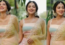 கர்ப்பமான பிறகு அழகு கொஞ்சம் அதிகமாகிடுச்சே… அமலா பாலின் லேட்டஸ்ட் கிளிக்ஸ்!!