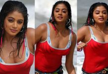 இந்த வயசுலயும் சும்மா கும்முனு இருக்கீங்க.. பிரியாமணியை வர்ணிக்கும் இளசுகள்!!