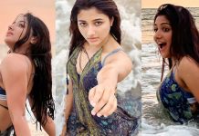 பீச்சில் உள்ளாடையில் செம போஸ் கொடுத்த மிர்னா மேனன்!!