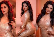 உடலோடு ஒட்டிய இறுக்கமான உடையில் கவர்ச்சி போஸ் கொடுத்த விமலா ராமன்!!