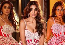 உள்ளாடை தெரிய மார்க்கமான போஸ் கொடுத்து இளசுகளை கடுப்பாக்கும் ஸ்ரேயா!!