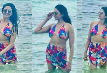 நீச்சல் உடையில் நடிகர் வினய்-யின் காதலி நடிகை விமலா ராமன் வெளியிட்ட புகைப்படங்கள்!!