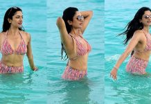 பீச்சில் கவர்ச்சி உடையில் செம போஸ் கொடுத்த விமலா ராமன்!!